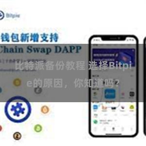 比特派备份教程 选择Bitpie的原因，你知道吗？