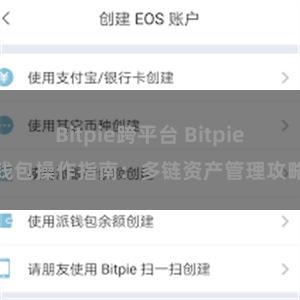 Bitpie跨平台 Bitpie钱包操作指南：多链资产管理攻略