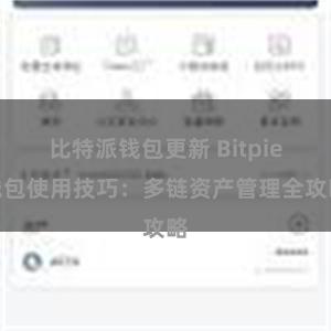 比特派钱包更新 Bitpie钱包使用技巧：多链资产管理全攻略
