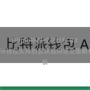 Bitpie钱包安装教程 Bitpie钱包支持的区块链网络全面解析