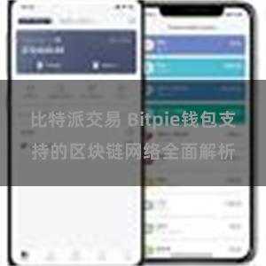 比特派交易 Bitpie钱包支持的区块链网络全面解析