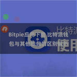 Bitpie应用下载 比特派钱包与其他钱包的区别解析