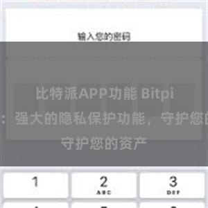 比特派APP功能 Bitpie钱包：强大的隐私保护功能，守护您的资产