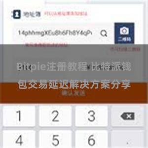 Bitpie注册教程 比特派钱包交易延迟解决方案分享