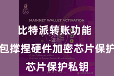 比特派转账功能  该钱包撑捏硬件加密芯片保护私钥