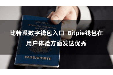 比特派数字钱包入口  Bitpie钱包在用户体验方面发达优秀