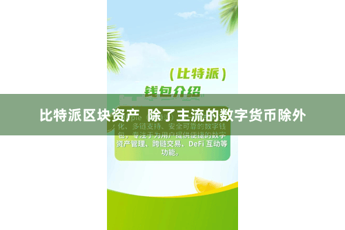 比特派区块资产  除了主流的数字货币除外
