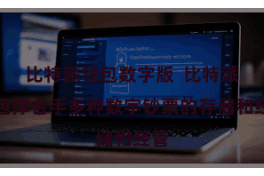 比特派钱包数字版  比特派钱包撑合手多种数字钞票的存储和经管